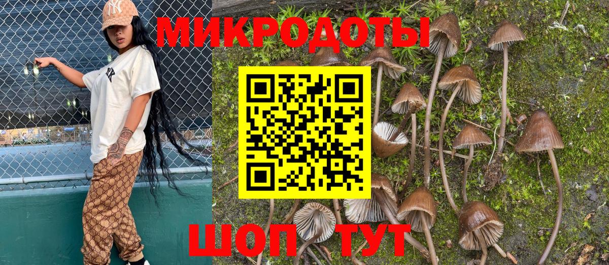Псилоцибиновые грибы мицелий Гурьевск