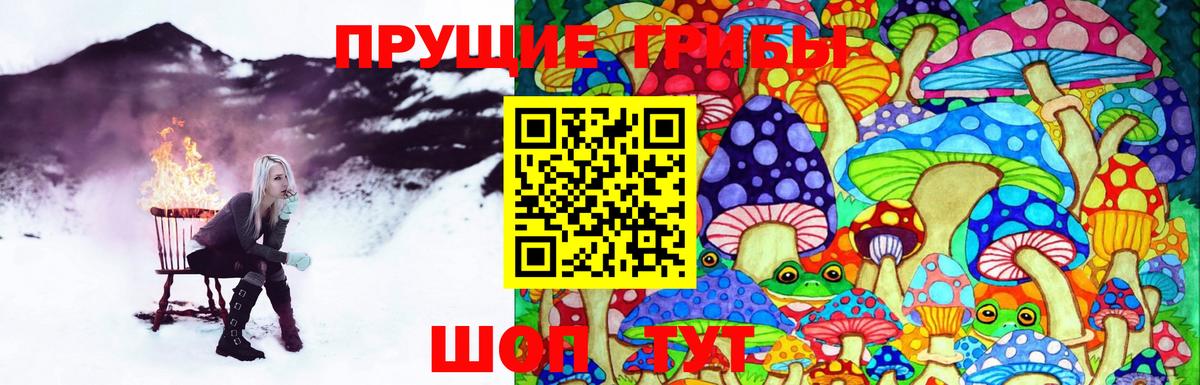 Псилоцибиновые грибы прущие грибы  продажа наркотиков  Вход с VPN  Гурьевск  Псилоцибиновые грибы Magic Shrooms 