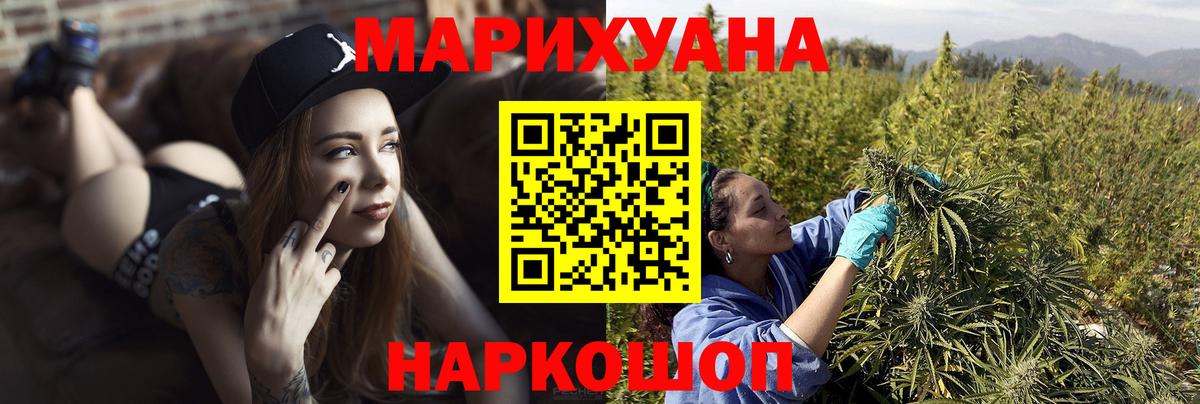 Бошки Шишки план Гурьевск